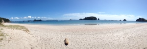 Panorama view of Hahei Beach
